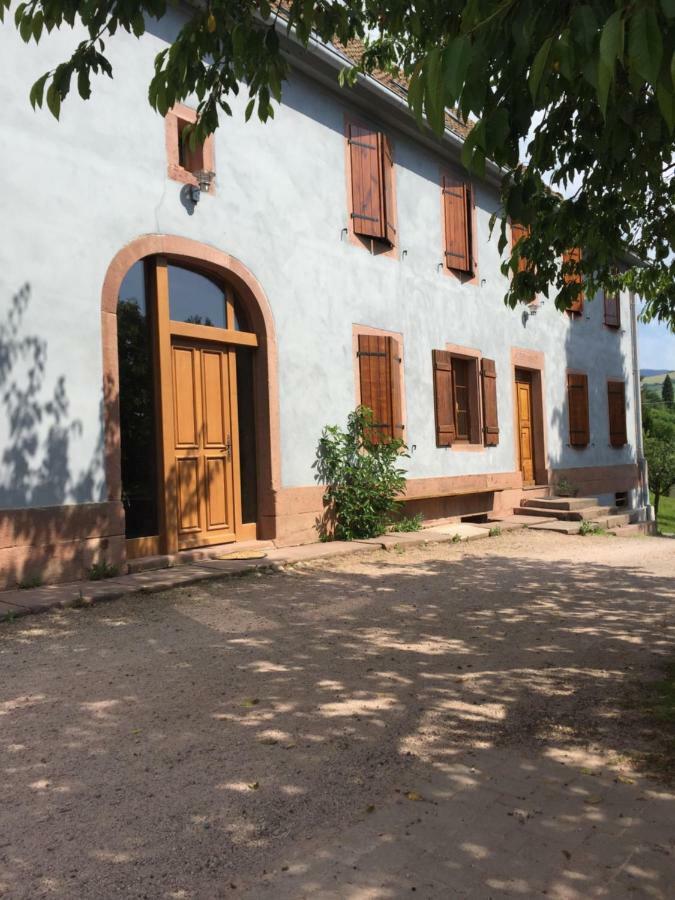 Gite Le Vieux Ruisseau Sauna Et Massages Лапутроа Екстериор снимка